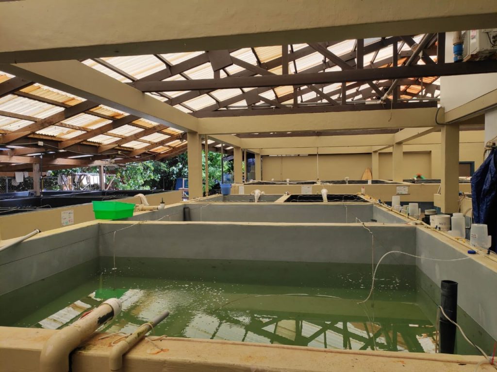 Instalaciones de Biota Marine Life Nursery